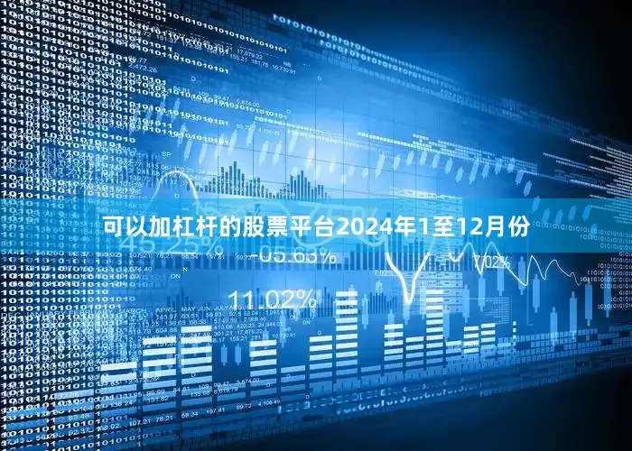可以加杠杆的股票平台　　2024年1至12月份