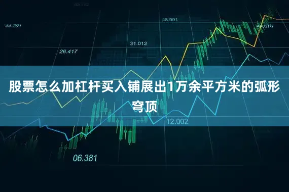 股票怎么加杠杆买入铺展出1万余平方米的弧形穹顶
