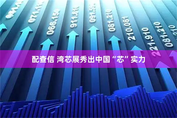 配查信 湾芯展秀出中国“芯”实力