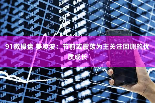 91微操盘 姜凌波：节前或震荡为主关注回调的优质成长
