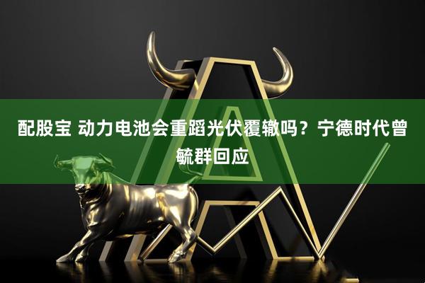 配股宝 动力电池会重蹈光伏覆辙吗？宁德时代曾毓群回应