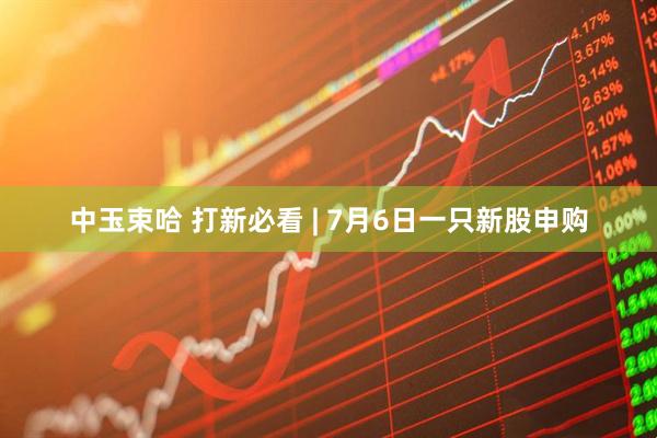 中玉束哈 打新必看 | 7月6日一只新股申购