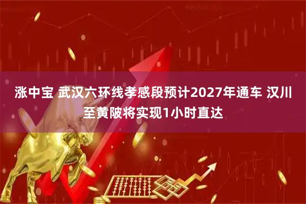 涨中宝 武汉六环线孝感段预计2027年通车 汉川至黄陂将实现1小时直达
